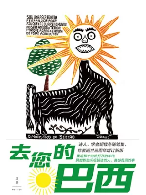 去您的巴西