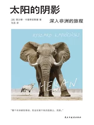 太阳的阴影封面