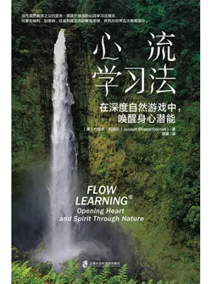 心流学习法封面