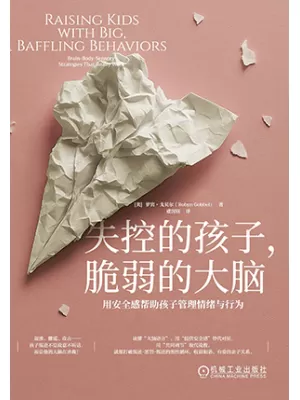 《失控的孩子脆弱的大脑：用安全感帮助孩子管理情绪与行为》封面
