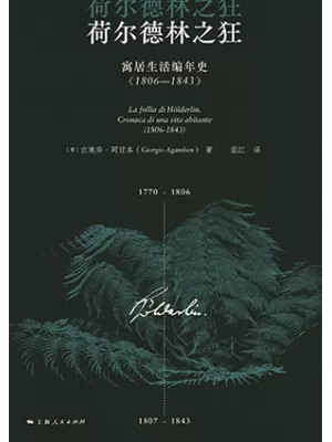 荷尔德林之狂封面