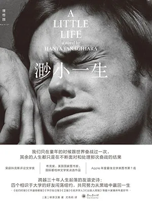 《渺小一生》封面