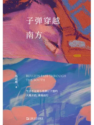 《子弹穿越南方》封面