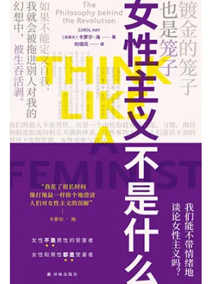 《女性主义不是什么》封面