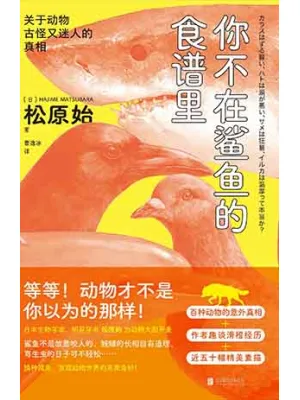 你不在鲨鱼的食谱里