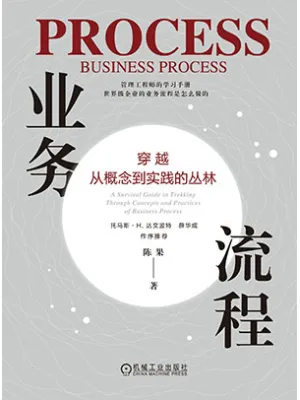 《业务流程：穿越从概念到实践的丛林》封面